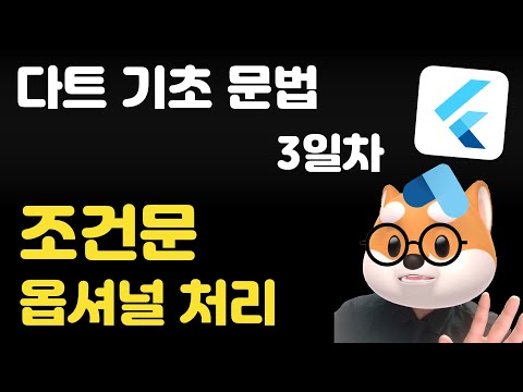 다트 기초 문법 - 3일차 /  조건문, 옵셔널 처리