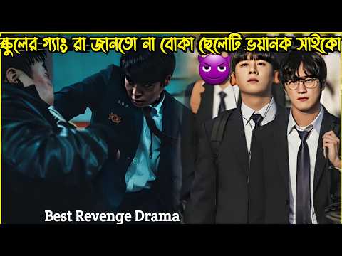 স্কুলের গ্যাং রা জানতো না বোকা ছেলেটি একটা ভয়ানক সাইকো😈One High School Heroes k drama Bangla explain