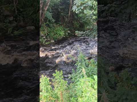 #ireland#shortvideo#bigcountry
