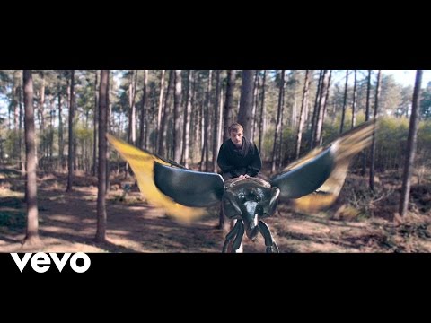 francois-the-atlas-mountains-the-way-to-the-forest-official-video-francoisatlasvevo