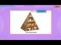 Understanding Vertices in Geometry