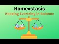 Understanding Homeostasis in Cells