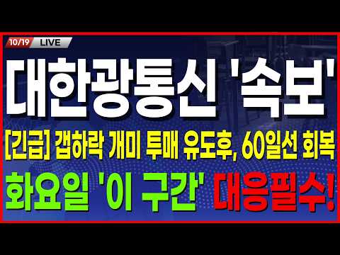 🔵대한광통신 주가 전망🔵 [속보] 갭하락 공포에 던진 개인들 후회하는 '저녁속보', 화요일 '이 구간' 도달 시 대응필수! #대한광통신 #대한광통신주가 #대한광통신주가전망