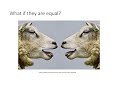 Comparative and Superlative Forms