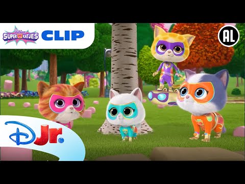 🍡 Marshmallow Regen | Super Katjes | Disney Junior België-Nederland