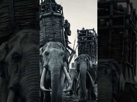 Echoes of the Horde (2025) #kosspax