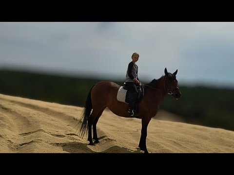 Прогулянка з Похреснецею. Купаємо коней. 27 липня 2025 р.