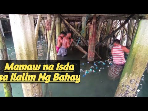 Dimo Akalaing may Malaking Isda pala sa Ilalim Ng Bahay