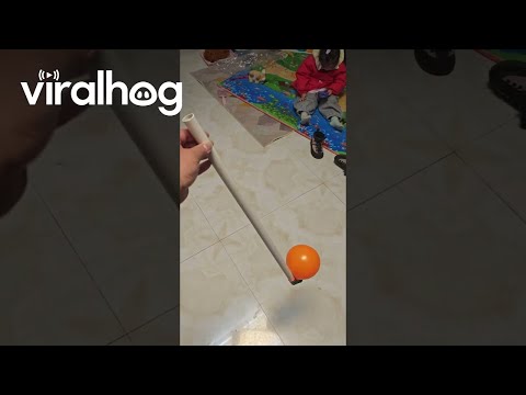 Handmade Horn || ViralHog