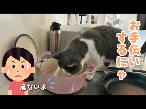 【猫と夫婦の休日】料理の邪魔をするのも可愛すぎる猫