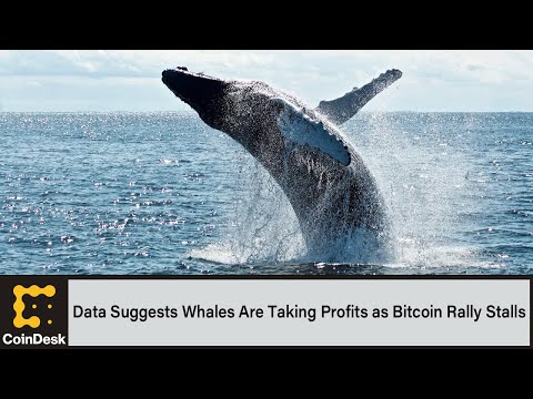 Data Suggests Whales Are Taking Profits as Bitcoin Price Rally Stalls