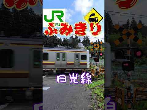🚧ラスト踏切！JR日光線の終点にかかる静かな踏切【栃木県日光市】#踏切 #ラスト踏切 #JR日光線 #電車 #鉄道 #日光市 #のどか #鉄道風景 #電車好きと繋がりたい #ふみきりの魅力