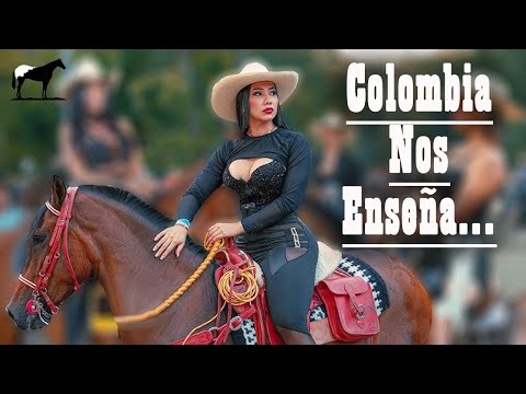 🐴El Negocio De Criar Caballos🐴-Del Cerro Soy