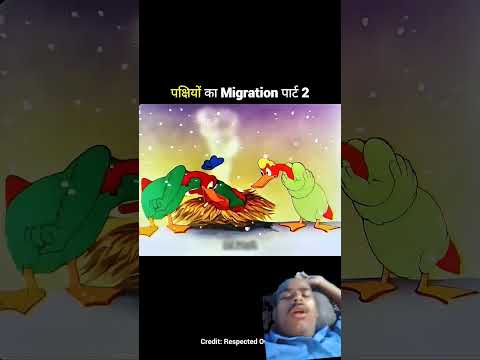 पक्षियों का मॉर्निंग पार्ट 2 #trending #comedy #cartoon