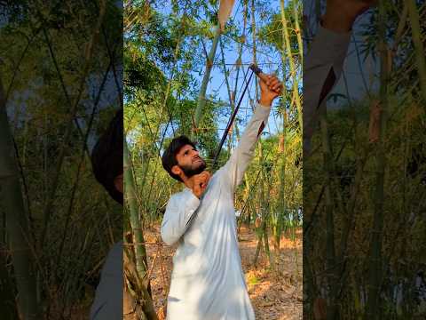 The birds Save 🦜😥