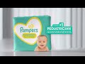 Pampers Diapers Features and Benefits