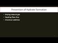Hydrate Formation Prevention Methods