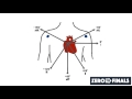 Cardiac Axis and ECG Interpretation