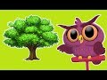 Celebrating Arbor Day: A Journey into Tree Planting Traditions