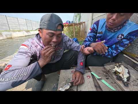 Banyak sekali saya Dapat nya mancing hari ini,hasil nya saya bakar bakar di pinggir pantai