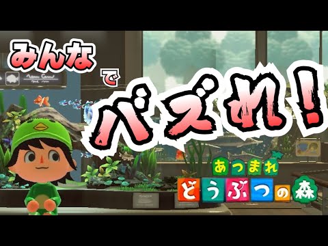 あつ森ショート動画撮影会！20時より！[あつまれどうぶつの森]