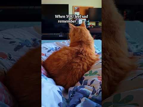 When you feel sad, remember you have Me