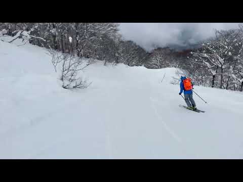 Peaceful Skiing On A Beautiful Powder Morning In Japan