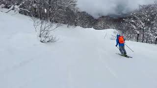 Peaceful Skiing On A Beautiful Powder Morning In Japan