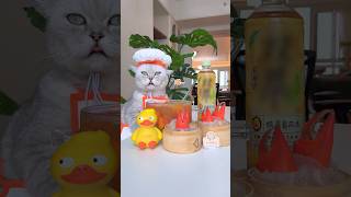Cat Chef makes food with Chinese kung fu 🐱 #catcookingfood #catofyoutube