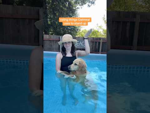 he has so many options #PoolTime #SwimmingDog #Rating