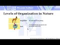 Ecological Concepts and Terminology