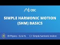 Simple Harmonic Motion Concepts