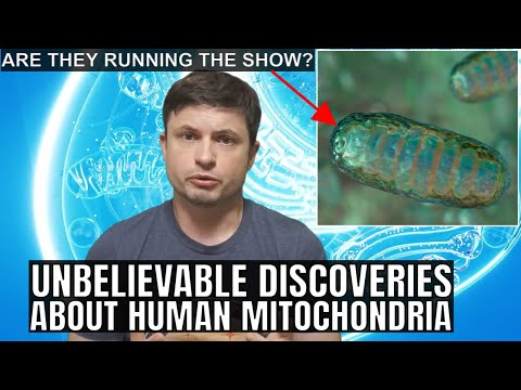 Are We Actually Controlled by Mitochondria? Mindblowing New Discoveries