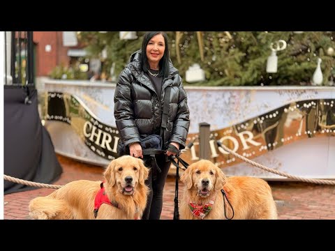 Sterling And Colin Go To The Christmas Market in Toronto.