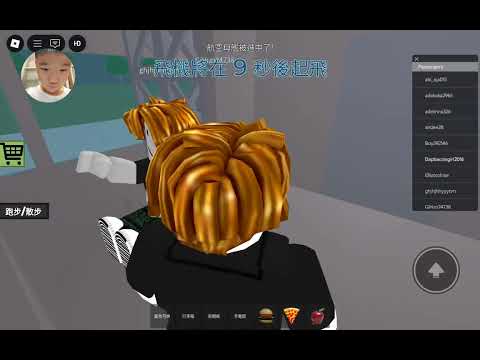 Roblox空難(1)