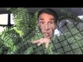 Impact of Global Warming on Ecosystems