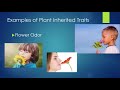 Inherited Traits and Plant Characteristics