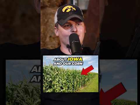 Iowa’s Corn and Bean Fields