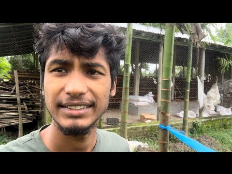 আমার খামারের আসেপাশে।  NEW video 2024  #vlog