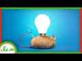 Understanding Renewable Energy and Battery Technology