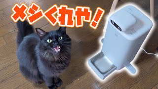 【案件でもかわいい】カメラ付き自動給餌機を試すゾ！