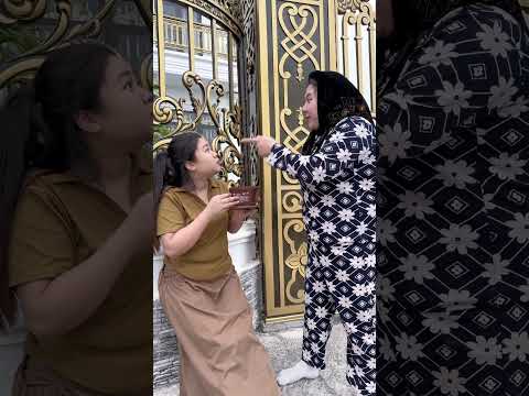 Mặc kệ đời #tienbeu #funny #vuinhon #comedy #haihuocvuinhon