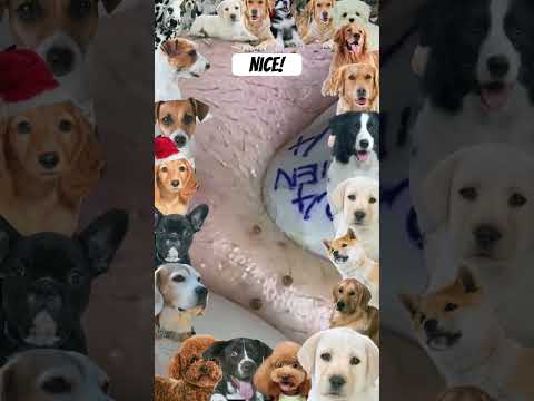 Wow! #shortsfeed #shortvideo #shorts #short #pimple #pimples #pimpleremoval #youtube #youtubeshorts