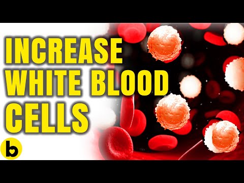 8 Foods That Help Increase Your White Blood Cells