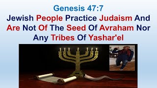 Jewish People Practice Judaism And Are Not Of Seed Of Avraham Nor Any Tribes Of Yashar'el - Gen 47:7