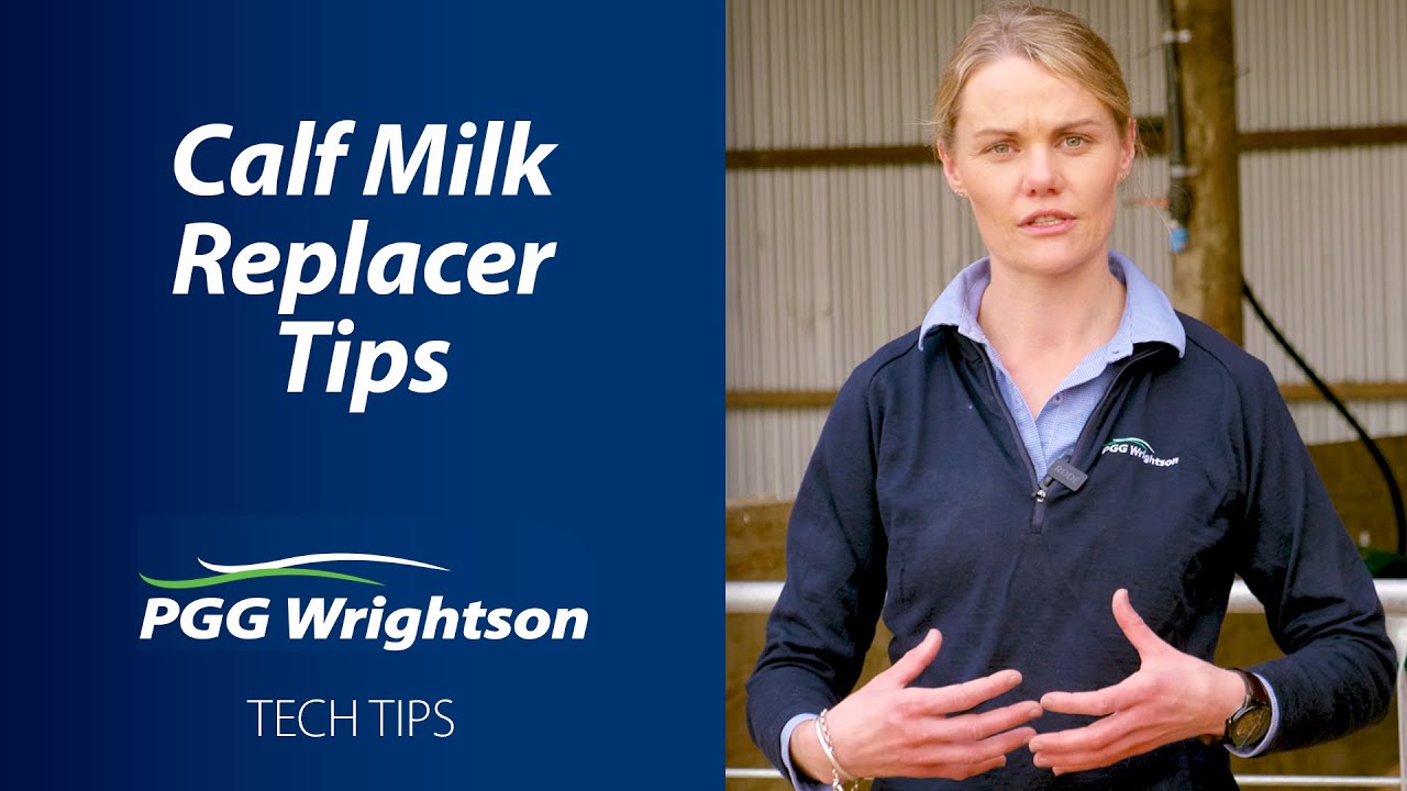 Calf milk replacer tips
