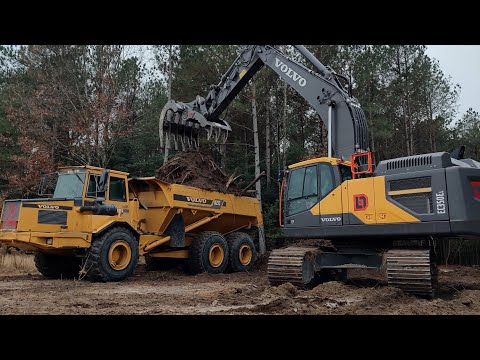 Forging The New Road All The Way Through The Woods