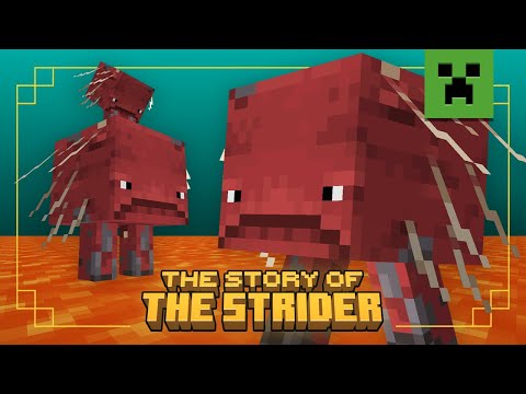 Why Do Striders Drop String? | The Story Of The Strider