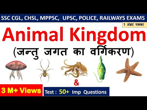 Biology Gk : Animal Kingdom (जन्तु जगत ) For SSC CGL , CHSL , MPPSC, UPPSC , RAILWAYS EXAMS