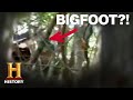 Bigfoot Evidence and Theories